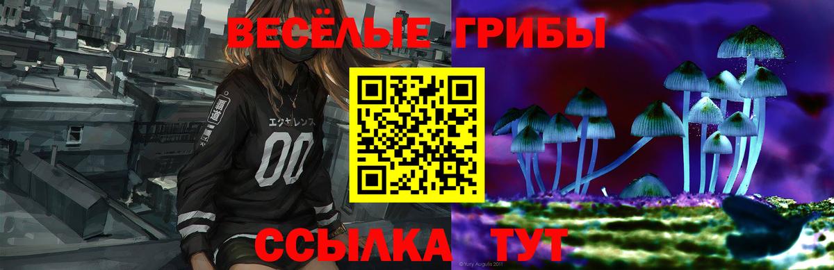 Галлюциногенные грибы мицелий Малоярославец