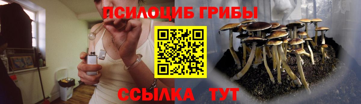 где купить   Галлюциногенные грибы Magic Shrooms  Псилоцибиновые грибы Magic Shrooms  Вход с VPN  Малоярославец 